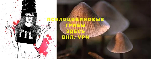 мдпв Осинники