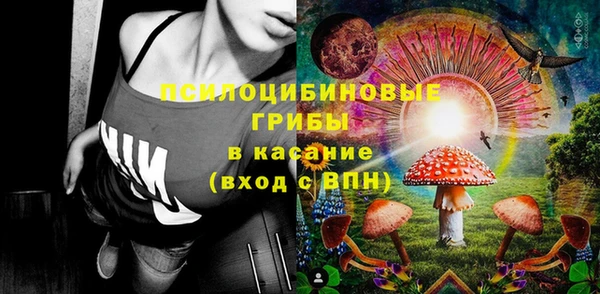 прущая мука Няндома