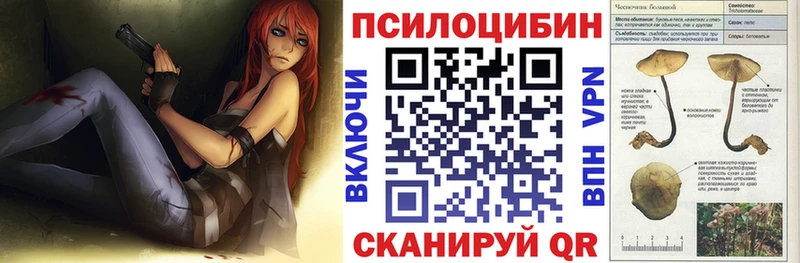 наркота  ссылка на мегу рабочий сайт  Псилоцибиновые грибы GOLDEN TEACHER  Приволжск 